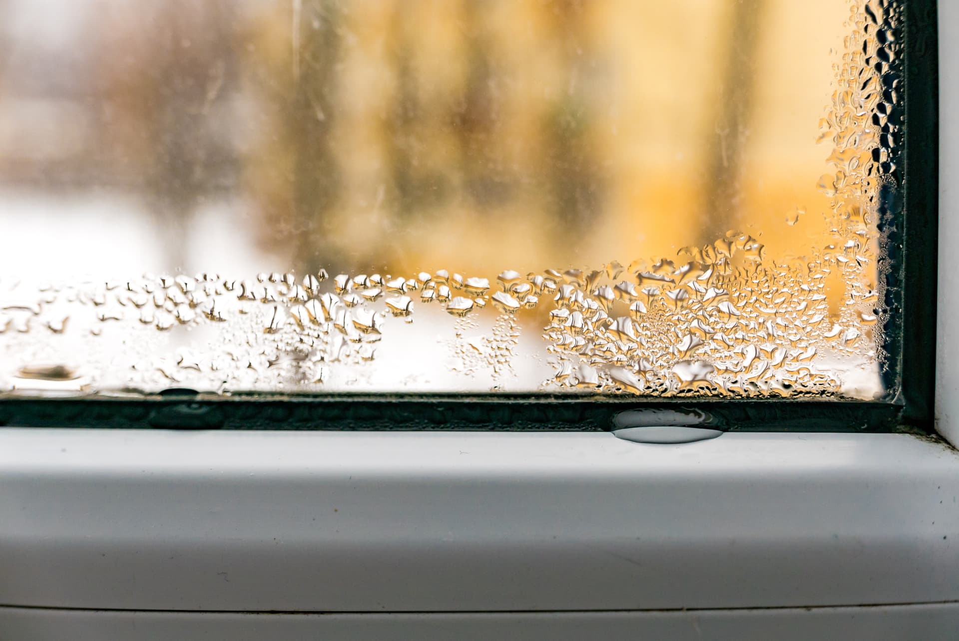 Why Double Glazed Sealed Units Fail and What the Signs Mean